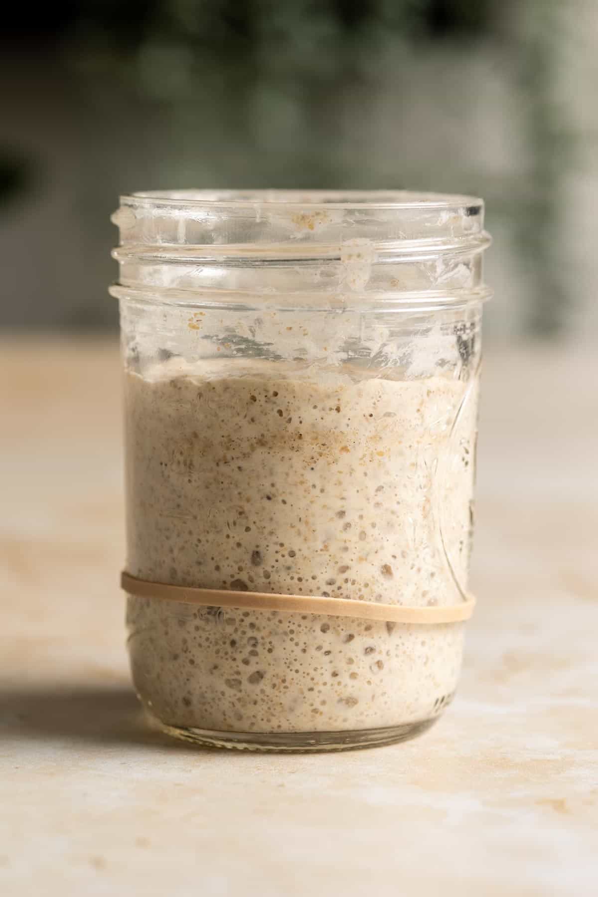 Sourdough starter bubbling in a jar.