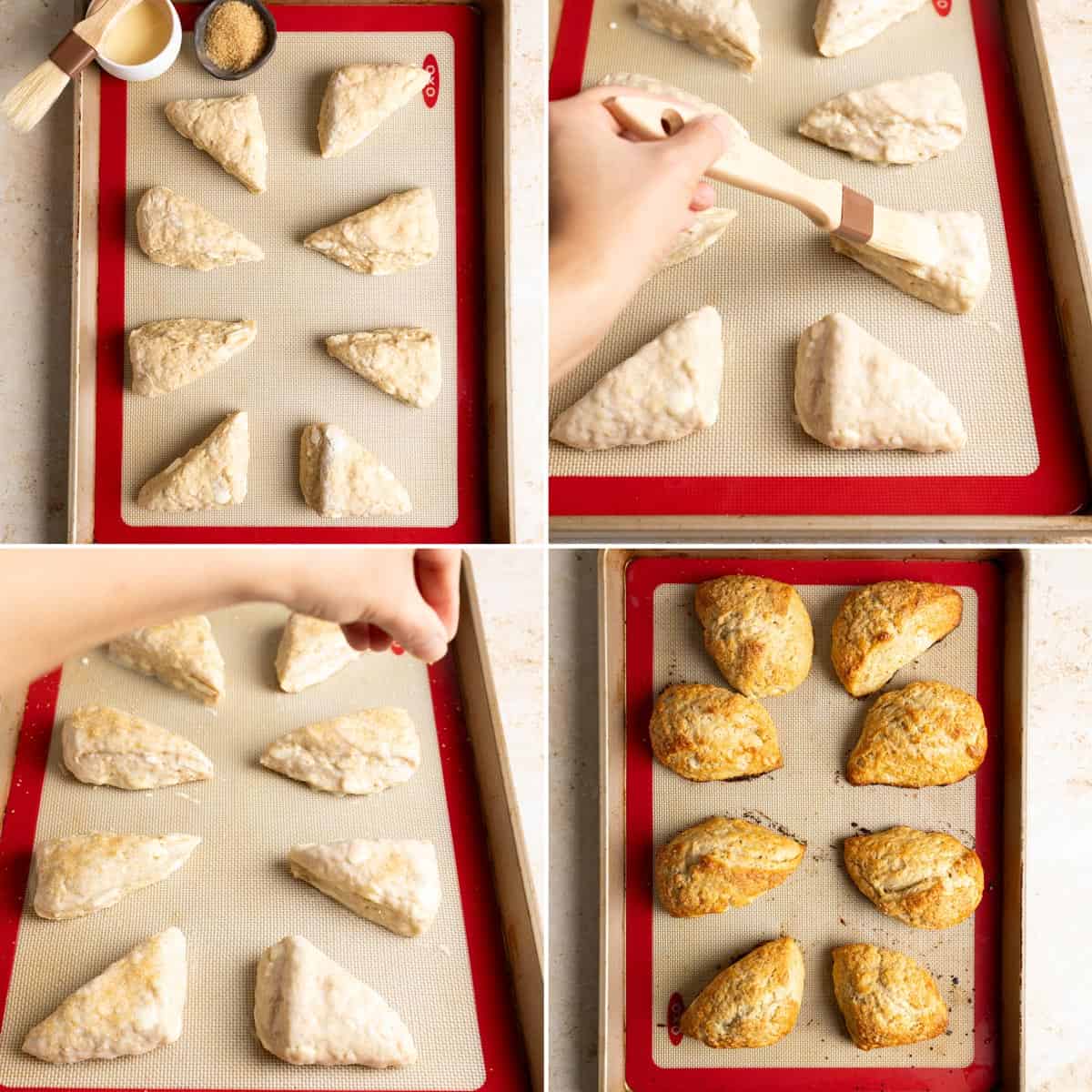Place scones on baking sheet, add egg wash and turbinado sugar, and bake until golden.