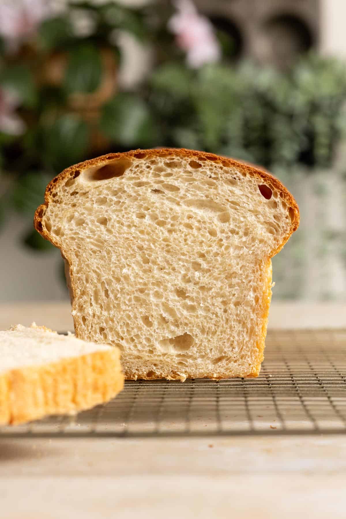 The interior of a sourdough milk bread loaf.