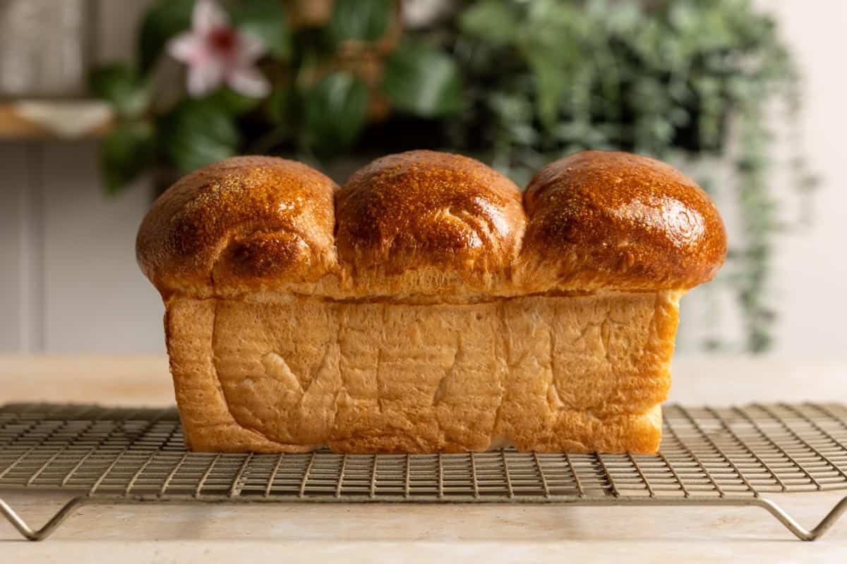 A loaf of sourdough shokupan on a wire rack.