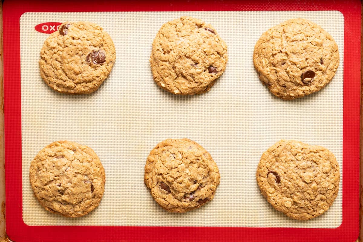 6 baked sourdough oatmeal cookies with chocolate chips on baking sheet.