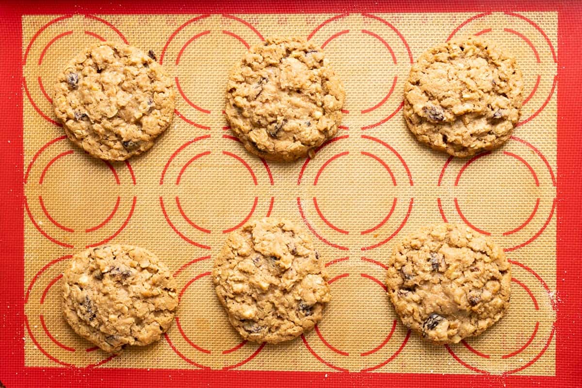 6 baked sourdough discard oatmeal raisin cookies on a baking sheet.