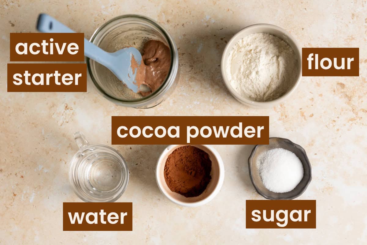Ingredients for chocolate sourdough starter recipe with text overlay.