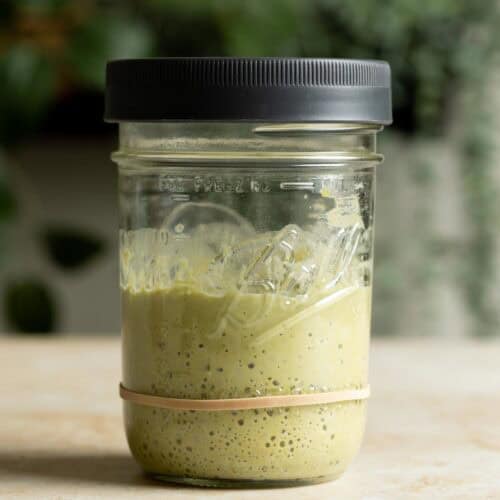 Risen matcha sourdough starter in a jar.