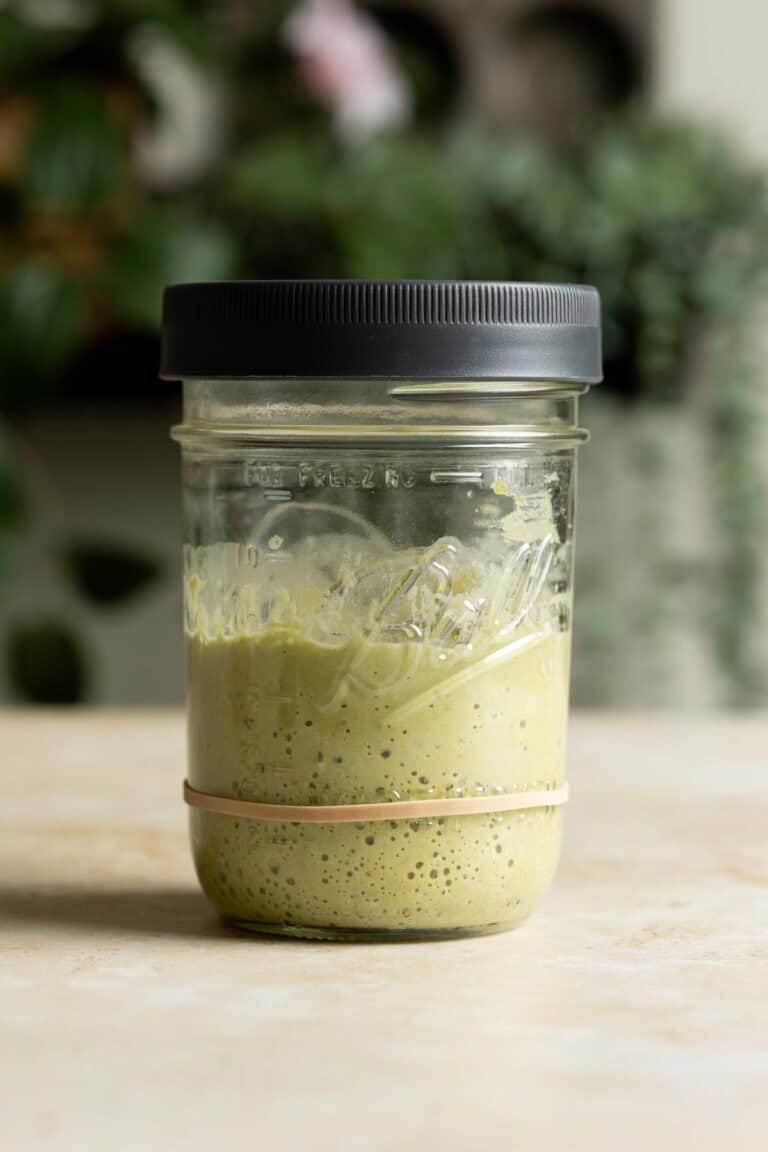 Risen matcha sourdough starter in a jar.