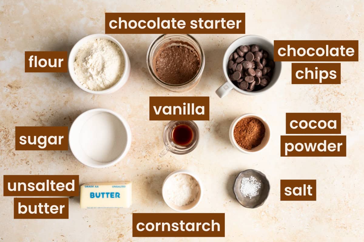 Sourdough chocolate shortbread ingredients.