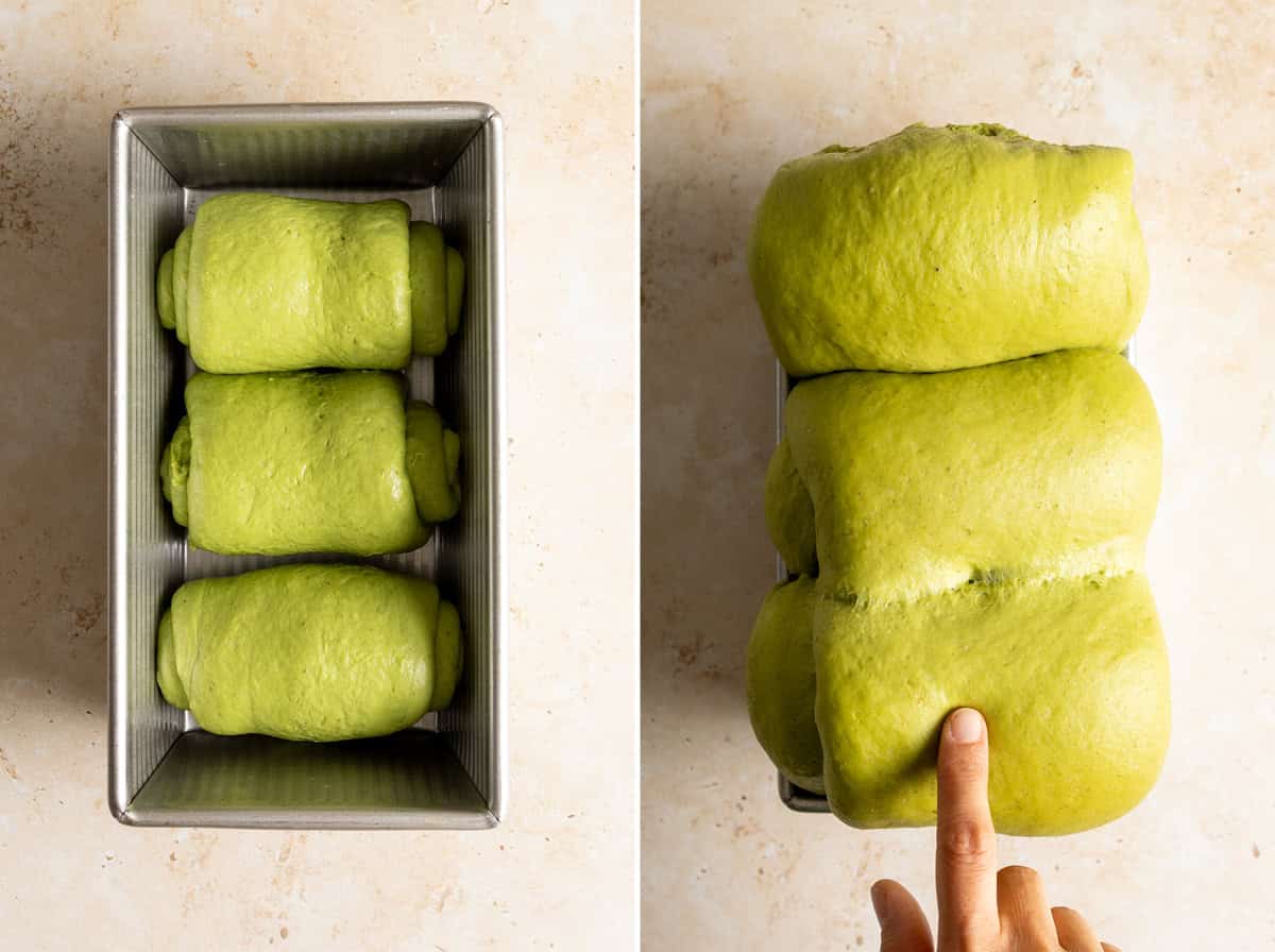Sourdough matcha milk bread dough in loaf pan: before and after rising.