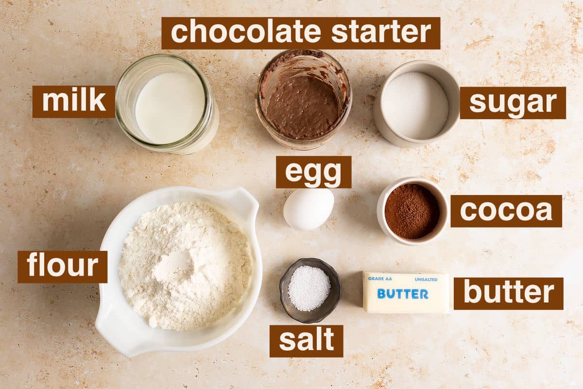Ingredients for chocolate sourdough milk bread.