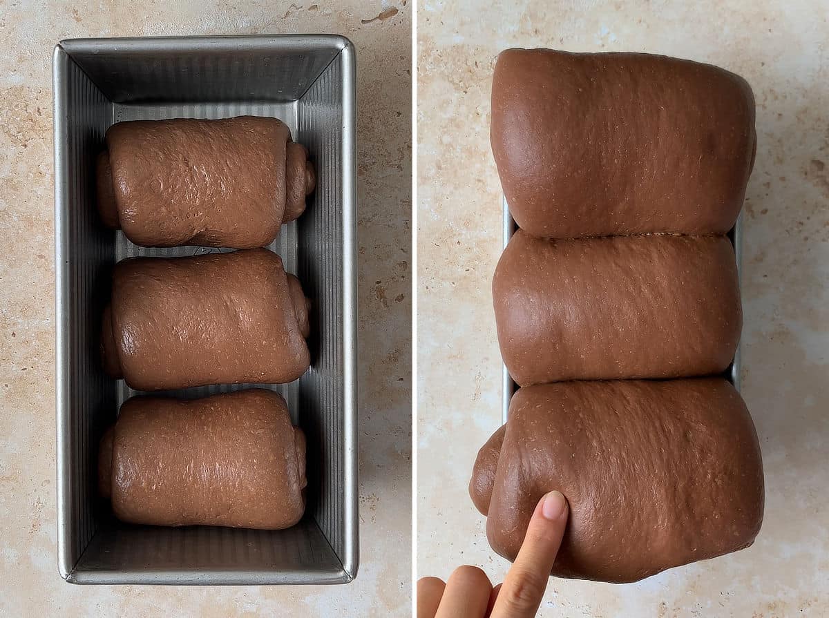 Chocolate milk bread dough proofing in a loaf pan: before and after.