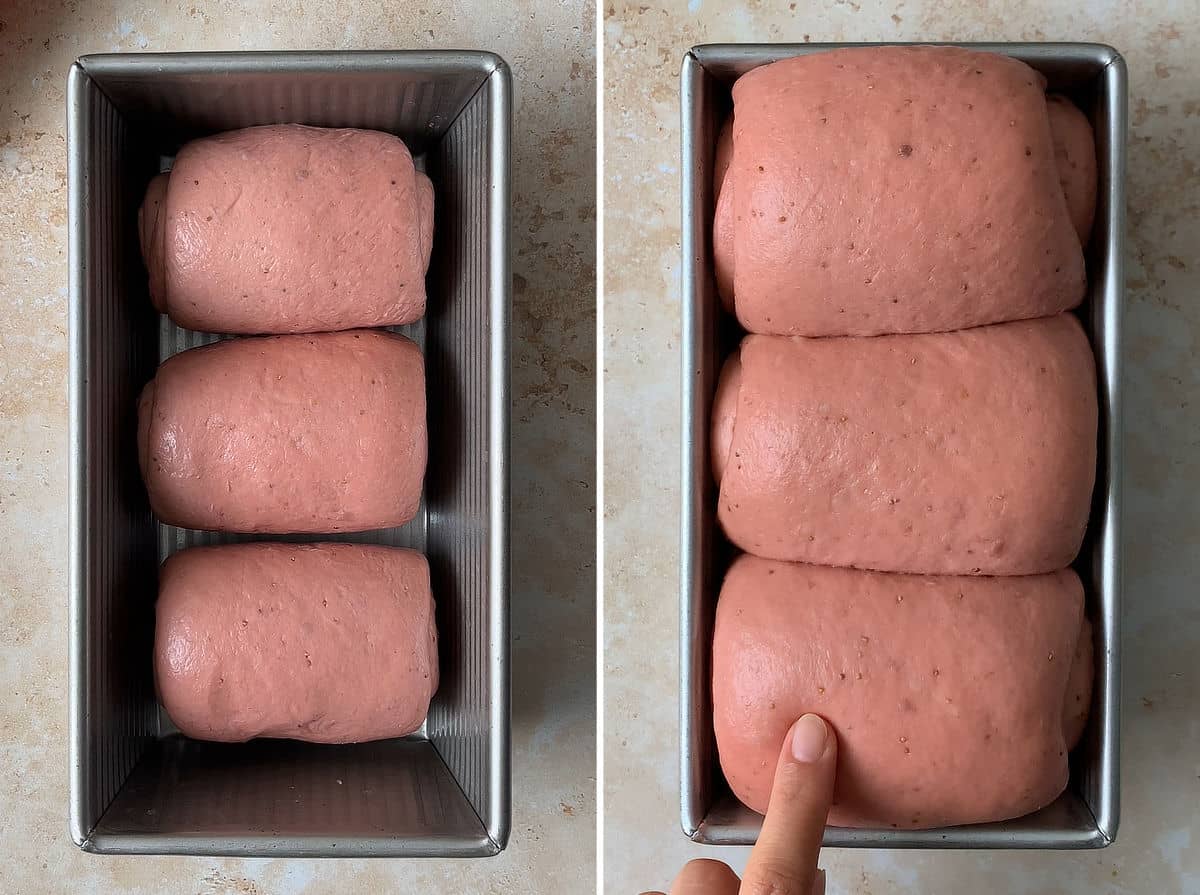 Sourdough strawberry milk bread proofing in a loaf pan.