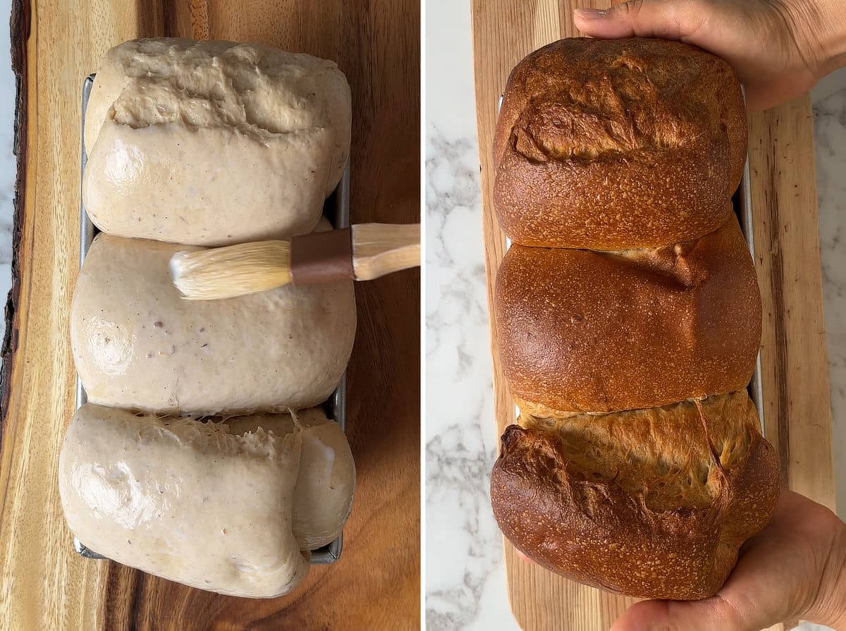 Brushing milk wash on top of the dough; baked apple butter sourdough milk bread.